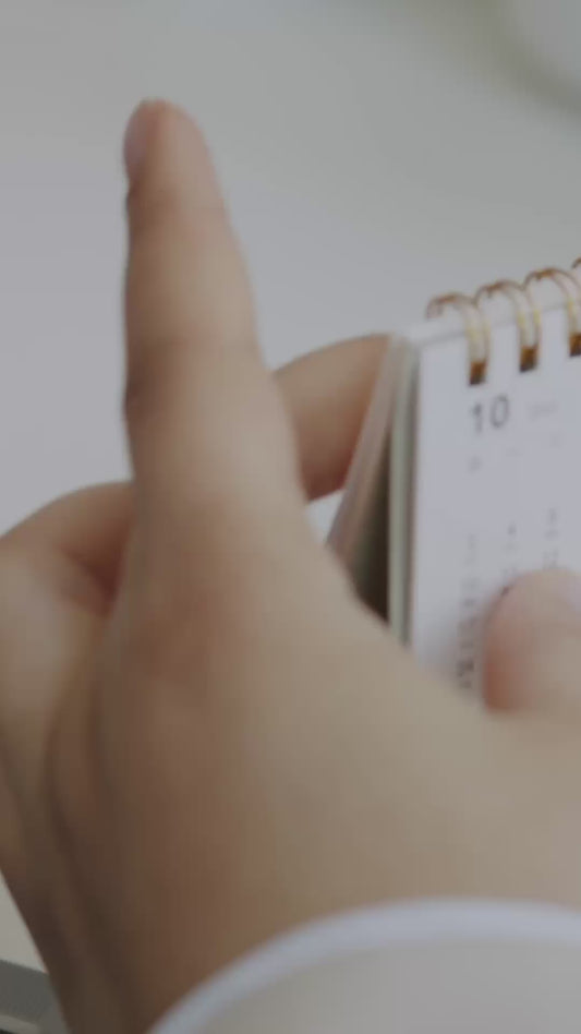 Year at a Glance Calendar: 2026 (Physical Print)